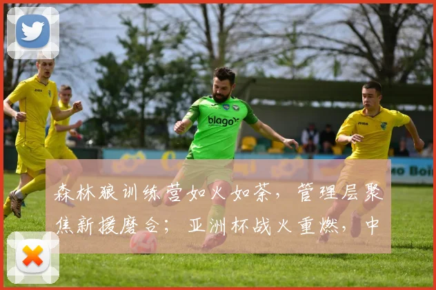 森林狼训练营如火如荼，管理层聚焦新援磨合；亚洲杯战火重燃，中国男篮蓄势待发