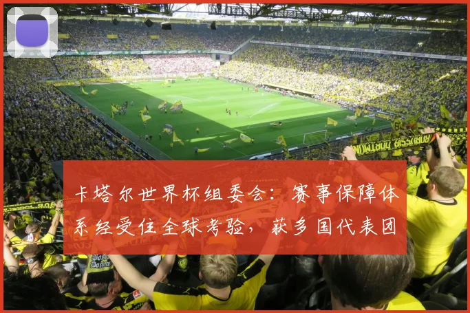 卡塔尔世界杯组委会：赛事保障体系经受住全球考验，获多国代表团好评