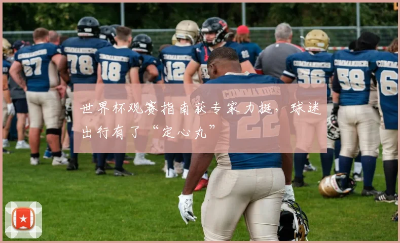 世界杯观赛指南获专家力挺，球迷出行有了“定心丸”