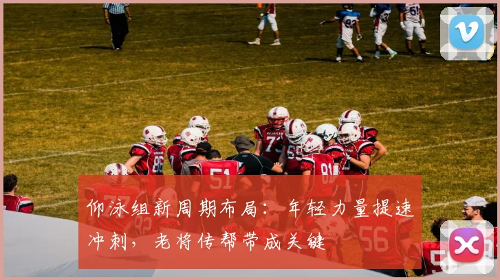仰泳组新周期布局：年轻力量提速冲刺，老将传帮带成关键