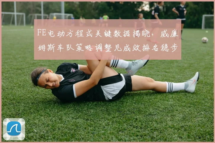 FE电动方程式关键数据揭晓，威廉姆斯车队策略调整见成效排名稳步攀升