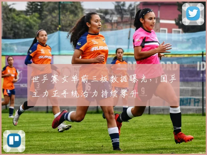 世乒赛女单前三板数据曝光，国乒主力正手统治力持续攀升